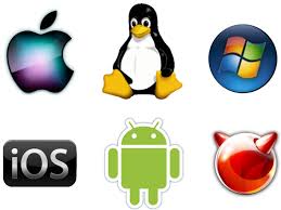 Operating System and Software